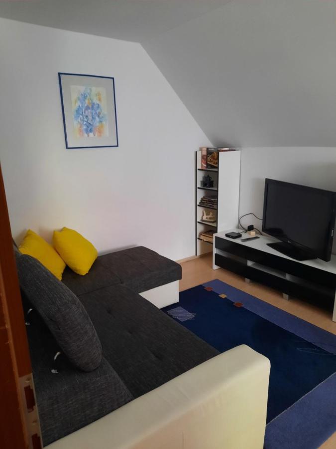 Sobe Tanja Apartment Podbrdo Exterior photo